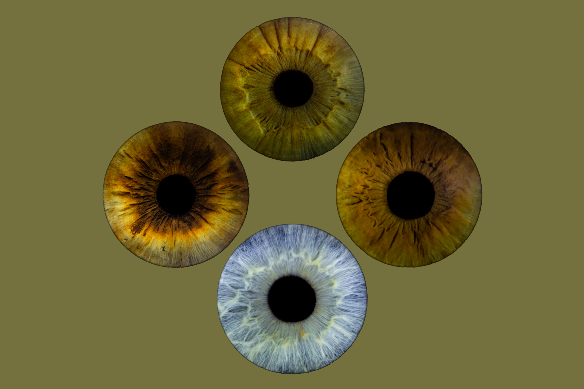 Familie Smeets-1.jpg